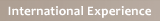International Experience